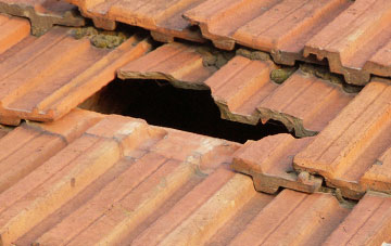 roof repair Holwick, County Durham